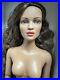 Tonner Tyler Wentworth NUDE 2006 MIDAS TOUCH JAC 16 Fashion DOLL BW BODY LE1000