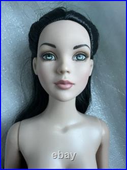 Tonner Tyler Wentworth NUDE 2007 BASIC CINDERELLA RAVEN 16 FASHION DOLL LE 250