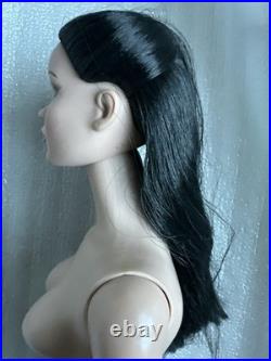 Tonner Tyler Wentworth NUDE 2007 BASIC CINDERELLA RAVEN 16 FASHION DOLL LE 250