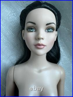 Tonner Tyler Wentworth NUDE 2007 BASIC CINDERELLA RAVEN 16 FASHION DOLL LE 250
