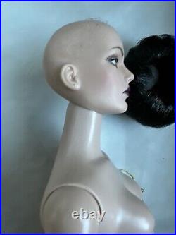 Tonner Tyler Wentworth NUDE 2008 PULP FICTION SYDNEY 16 Fashion DOLL BW BODY