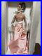 Tonner Tyler Wentworth Portrait Glamour 16 Dessed Doll TW9411