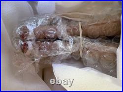 Tonner Tyler Wentworth Show Stopping Sydney Doll TW2406 NRFB Complete In Box