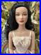 Tonner-Tyler-Wentworth-Stella-Rose-Raven-upgraded-to-BW-body-LE250-01-npaf