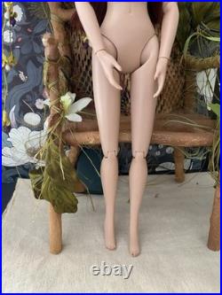 Tonner Tyler Wentworth Sydney Chase 2010 Belladonna in RTW Satin LE200