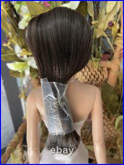 Tonner Tyler Wentworth Ultra Basic Ava New without Box