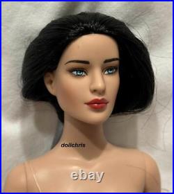 Tonner Ultra Basic Tyler Wentworth Raven 16 Fashion Doll New with Box HTF