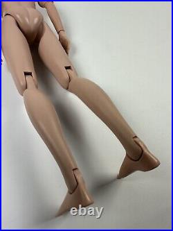 Tonner Wilde Imagination Imperium Park Phin Male Fashion Doll 17 Nude