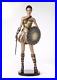 Tonner-deluxe-Wonder-Woman-Training-Armor-sold-Out-has-Sword-Shield-Stand-01-re