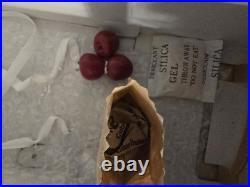 Tyler Wentworth ENGLAND EXCURSION DISPLAY DOLL16 Tonner 2002 Outfit & Doll